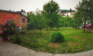Photo 01.06.2017. 19 34 52