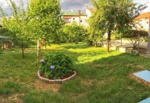 Photo 17.06.2017. 18 21 13